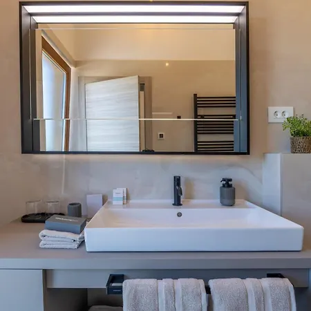 Olive Court Kras Villa